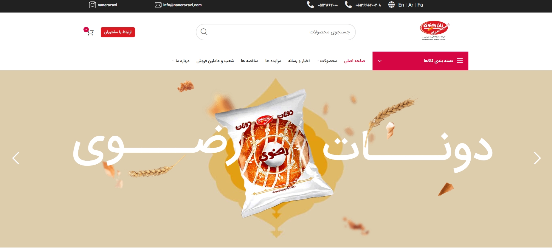 nanerazavi.com